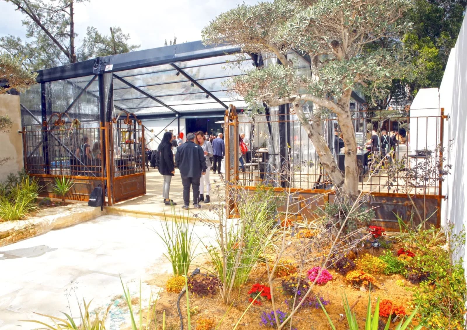 מרפסת העץ והגינה סביב עצי הזית